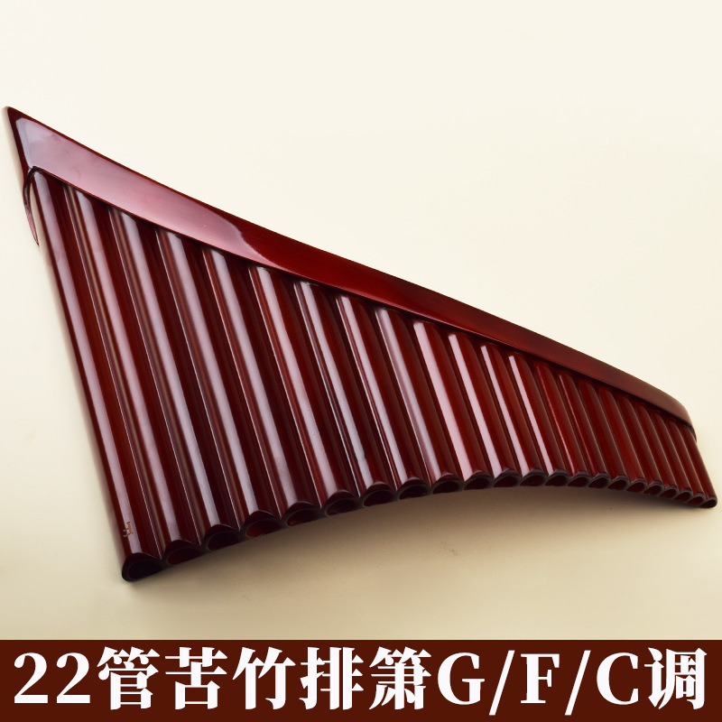 Musical Instrument For Beginners - Flauto di Pan a 22 canne,