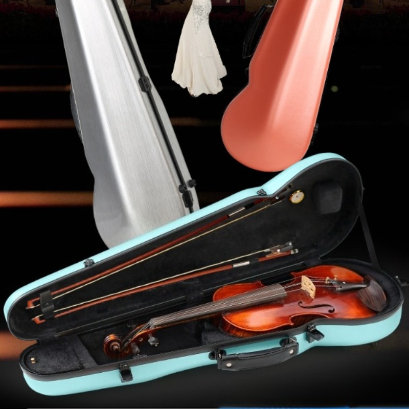 Custodia per violino in fibra  - Musical Instrument Dulcimer recensione e prezzo