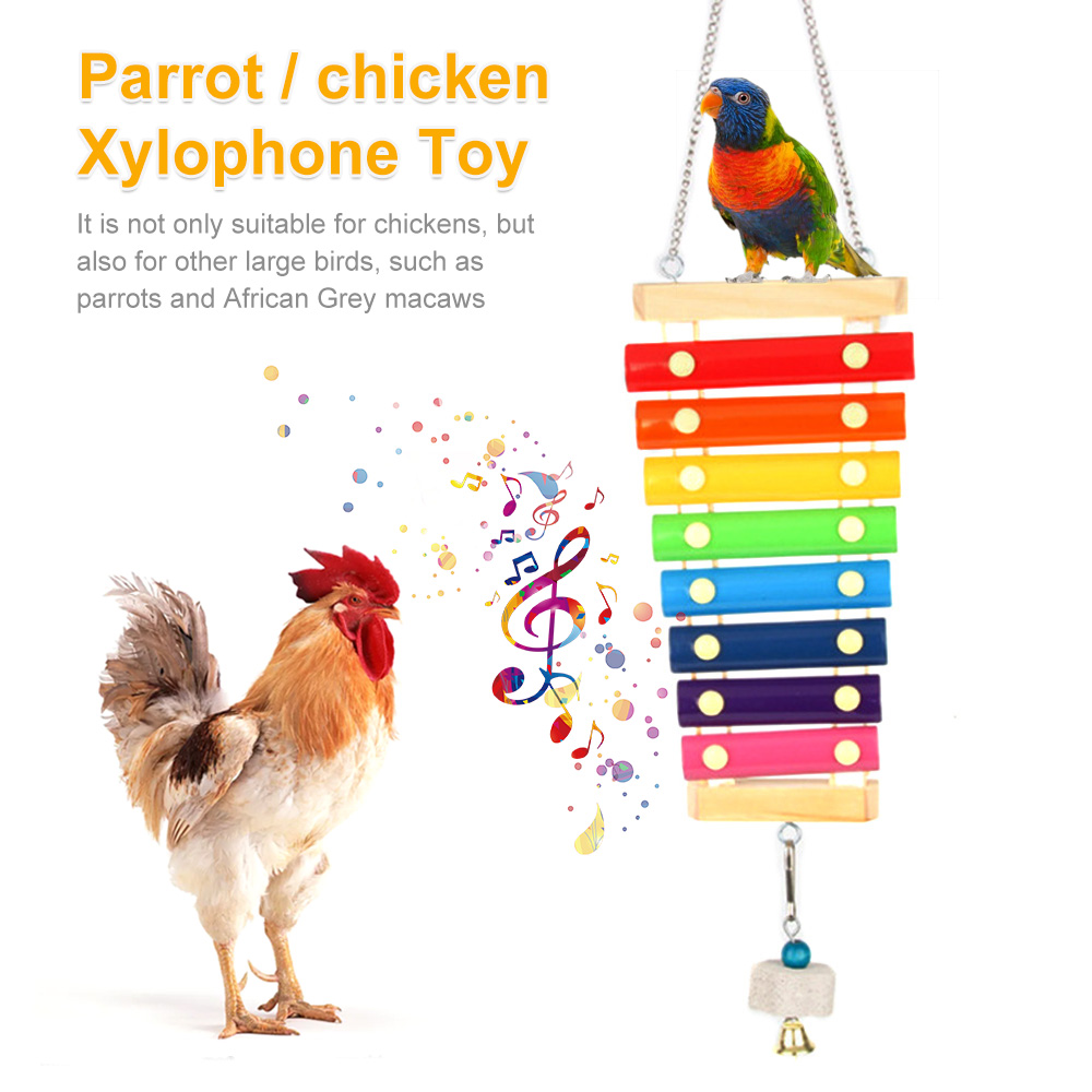 Giocattolo xilofono per pollo  - Musical Instrument Harmonium recensione e prezzo