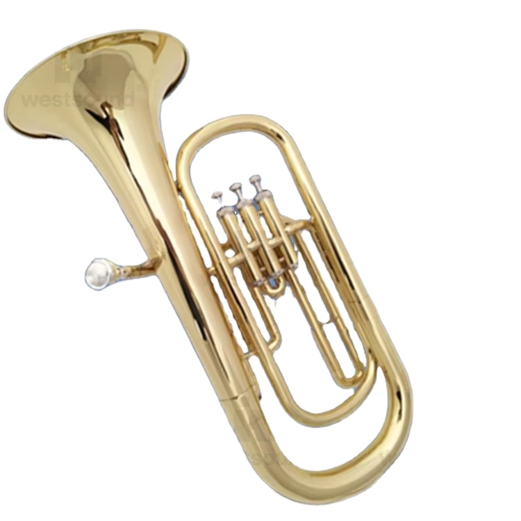 Eufonio Baritono in tonalità S - Musical Instrument Euphonium recensione e prezzo