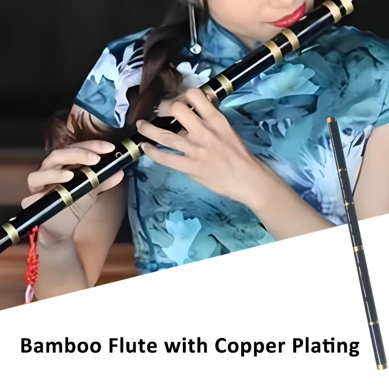 Flauto di bambù a 6 fori con p - Tin Whistle Flute recensione e prezzo