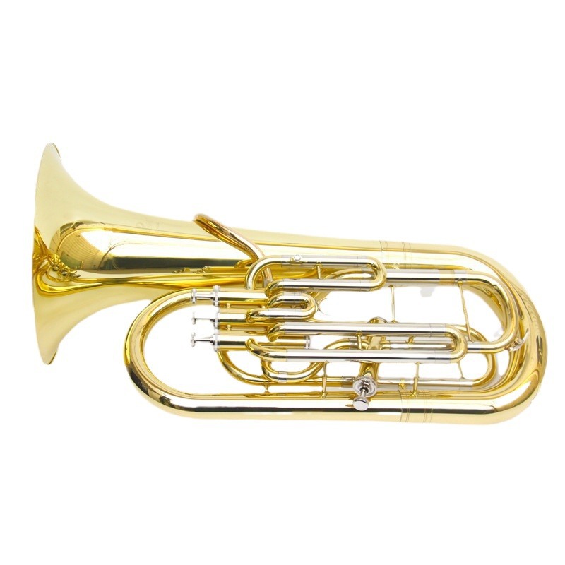 Eufonio Bb Tone 3 Plus 1 con D - Musical Instrument Euphonium recensione e prezzo