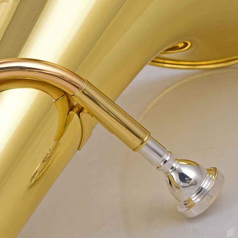Eufonio Bb Tone 3 Plus 1 con D - Musical Instrument Euphonium recensione e prezzo