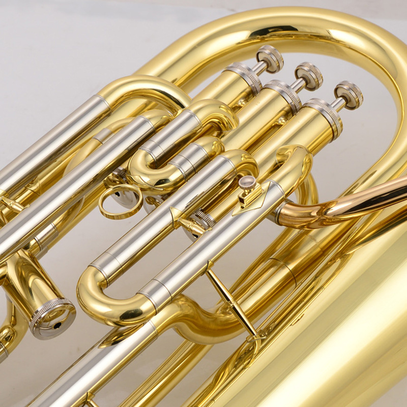 Eufonio Bb Tone 3 Plus 1 con D - Musical Instrument Euphonium recensione e prezzo